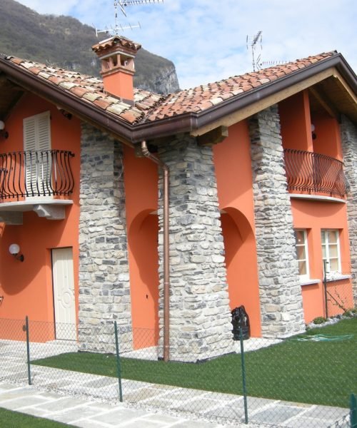 Impresa-Bruni-Mezzegra - Ulivi (1)